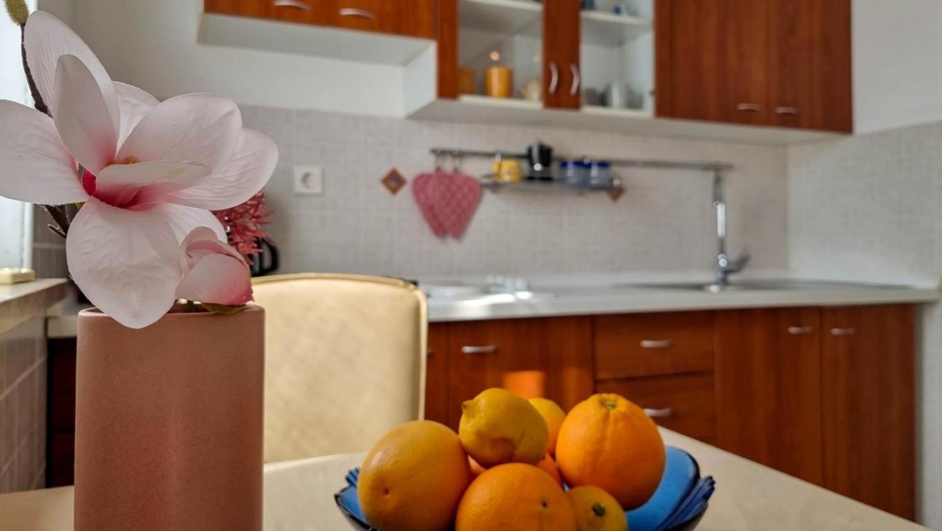 Marinela Studio Novigrad Istria Dış mekan fotoğraf